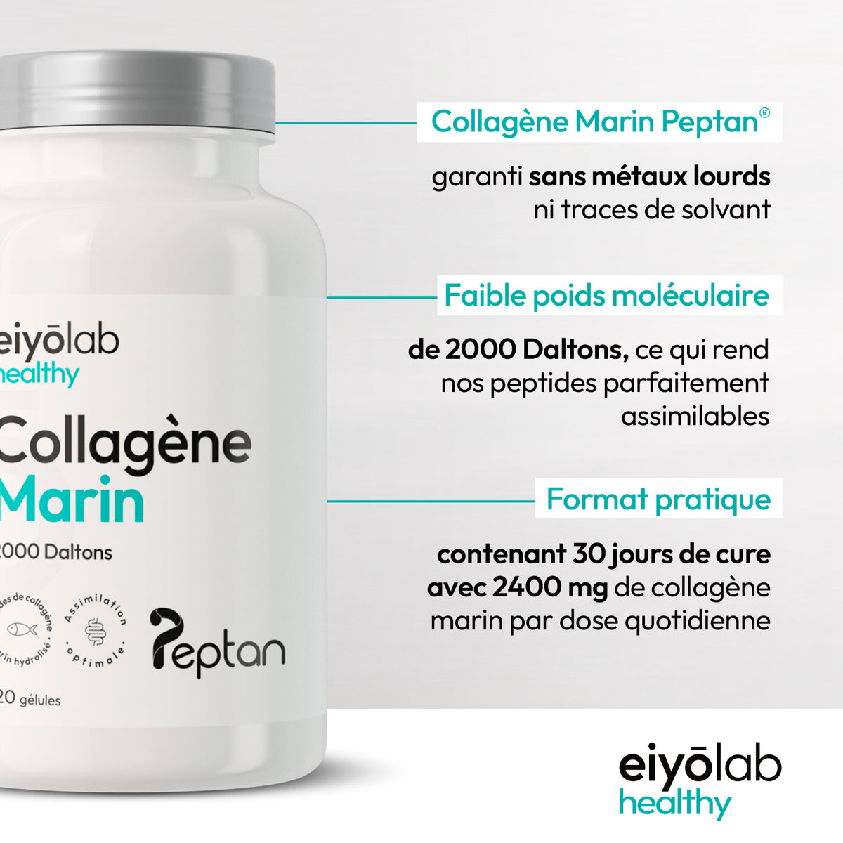 Collagène marin en gélule - Peptan®