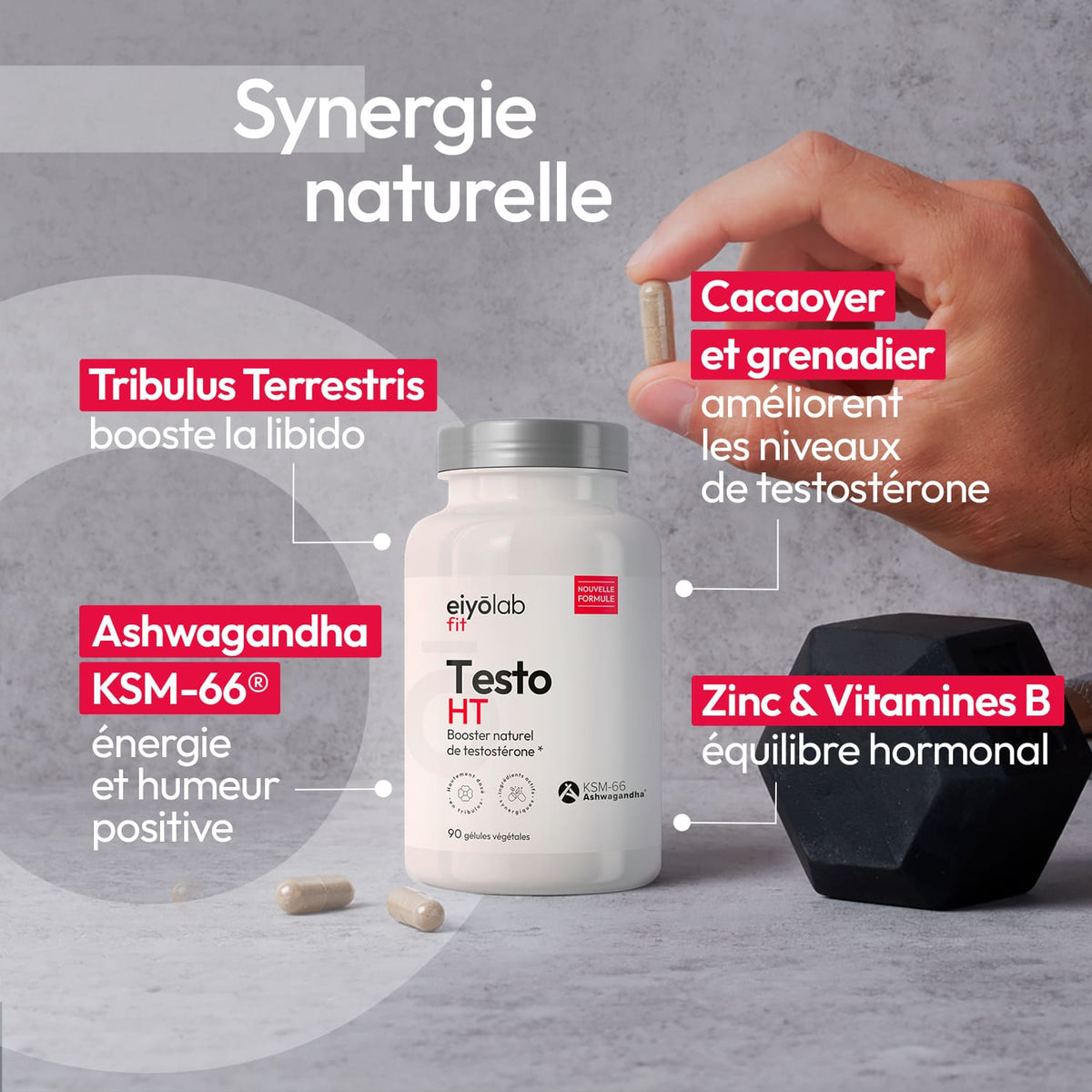 Testo HT