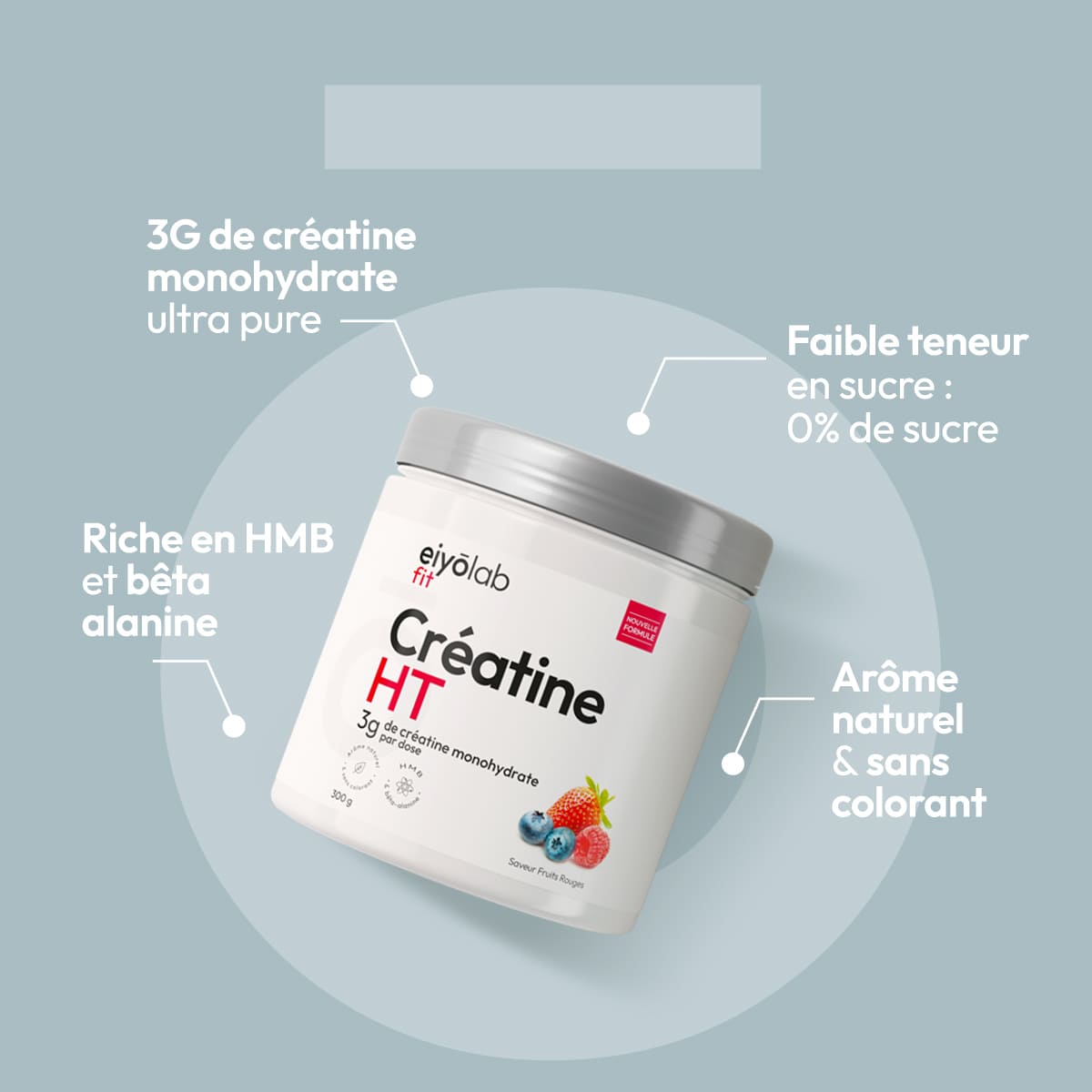 Créatine HT