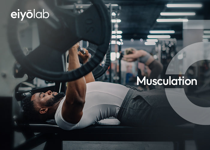 Musculation