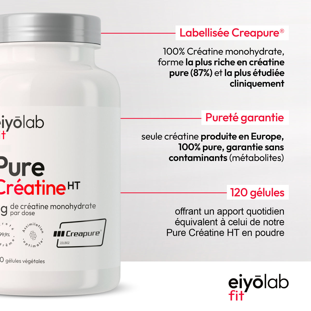 Pure Créatine HT en gélule - Creapure®