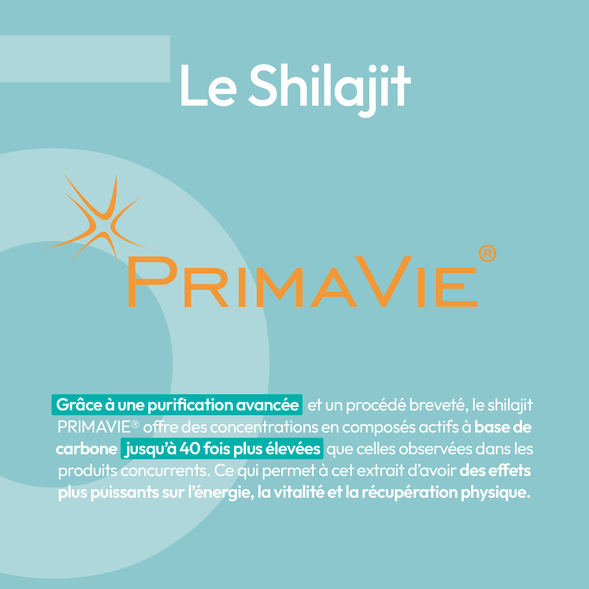 Shilajit PrimaVie®