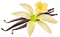 Vanille
