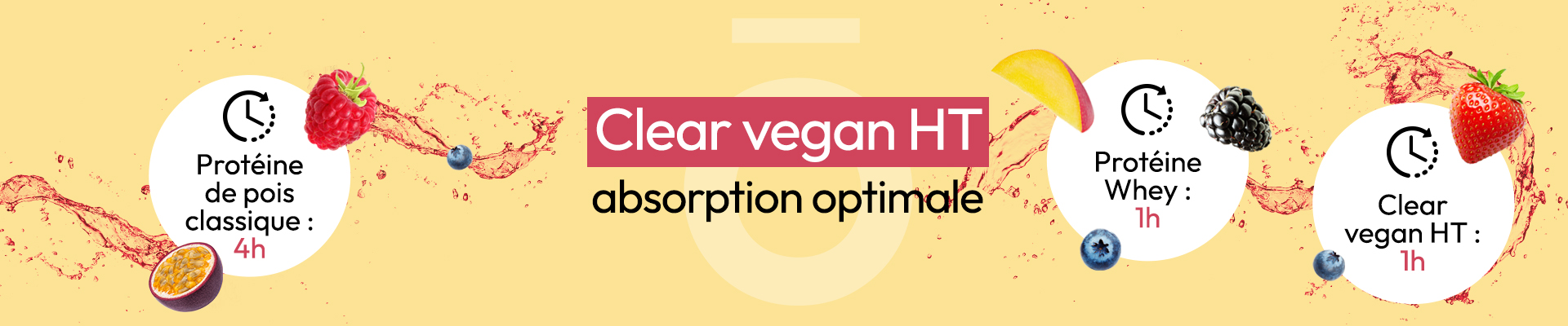 Clear vegan HT absorption en 1h, au lieu de 4h pour une protéine de poids classique.